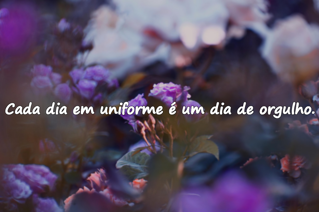 Frases Significativas Sobre o Serviço Militar