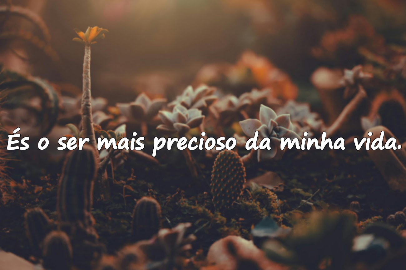 Frases Significativas sobre Mãe