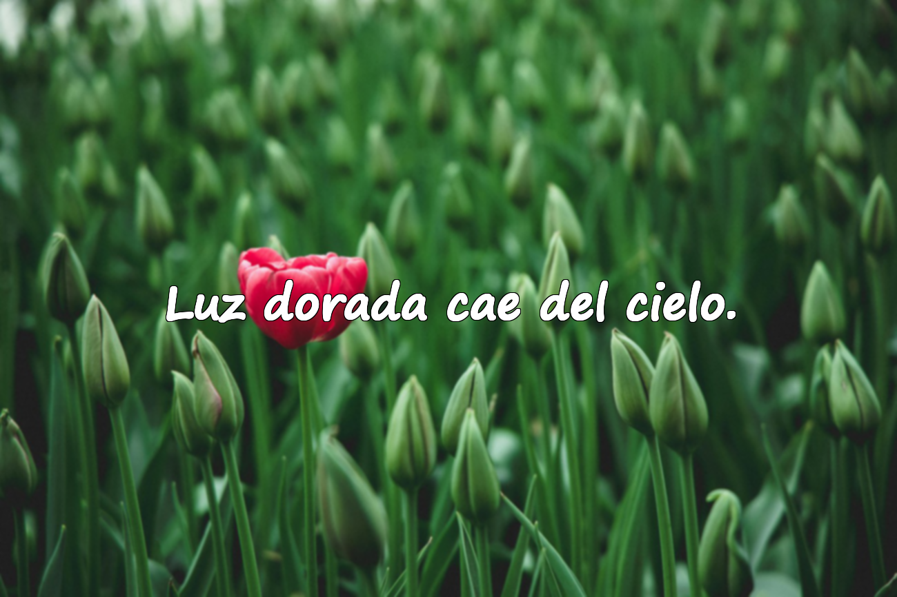 Luz dorada cae del cielo.