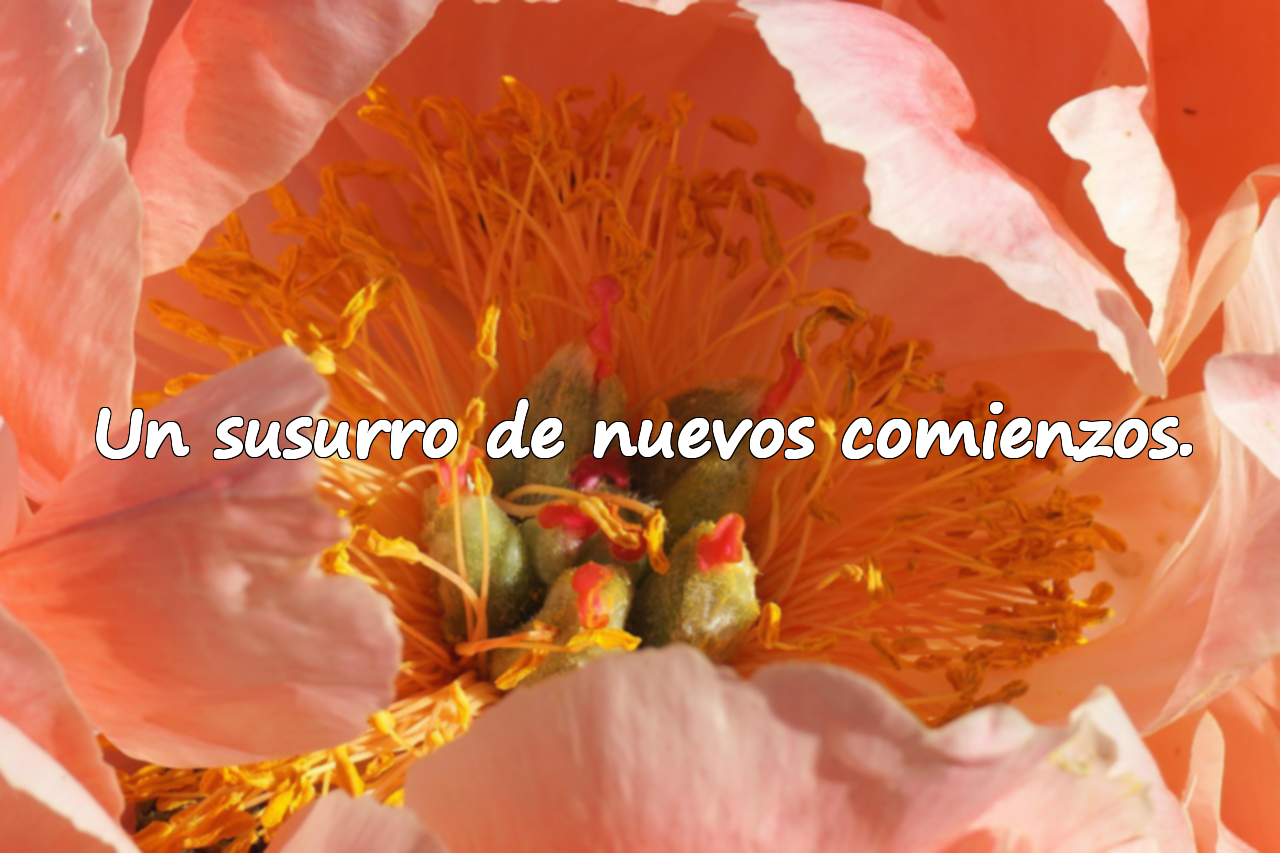 Un susurro de nuevos comienzos.