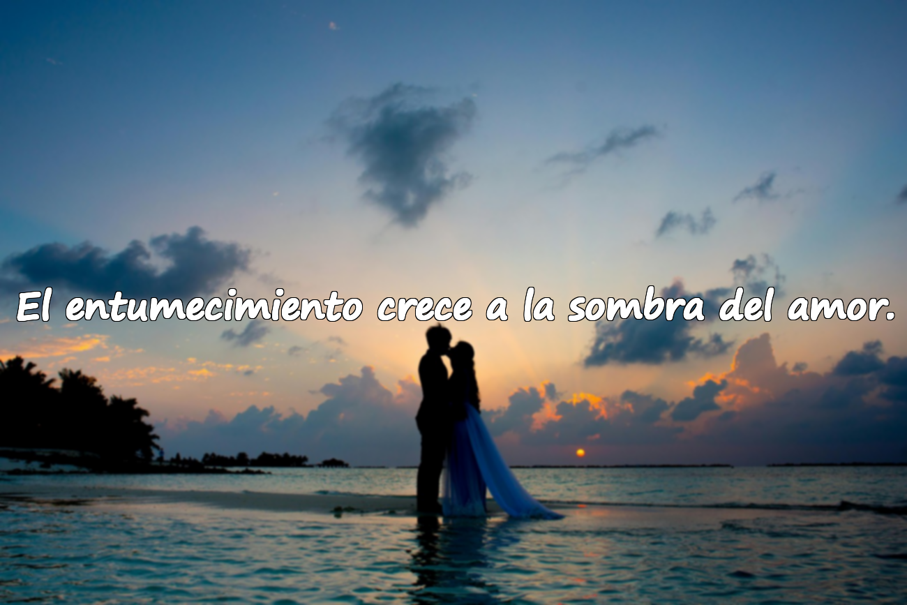 El entumecimiento crece a la sombra del amor.