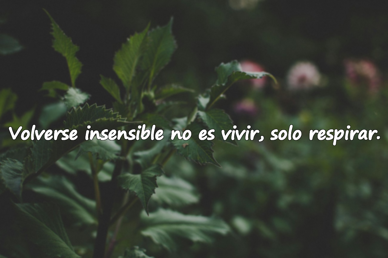 Volverse insensible no es vivir, solo respirar.