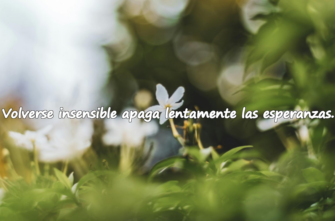 Volverse insensible apaga lentamente las esperanzas.