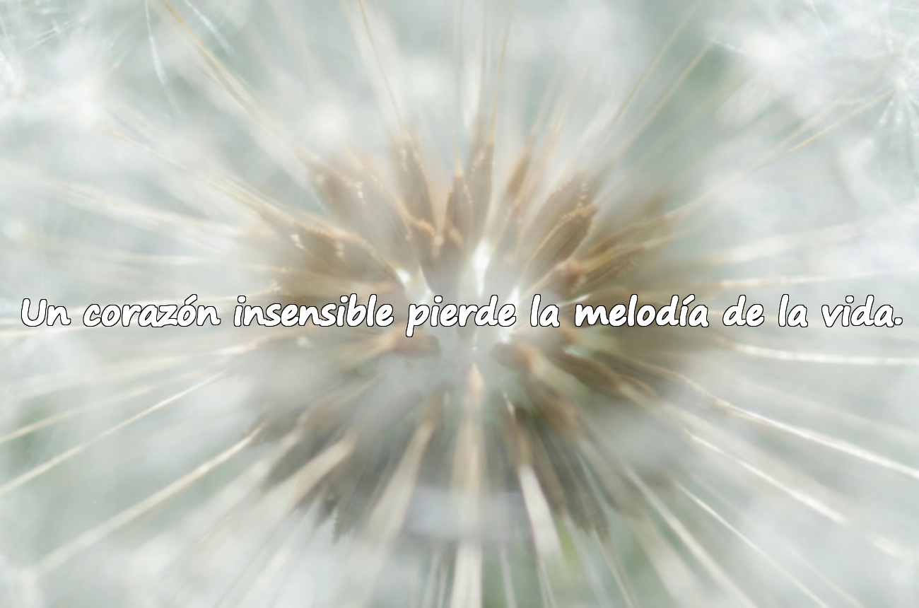 Un corazón insensible pierde la melodía de la vida.