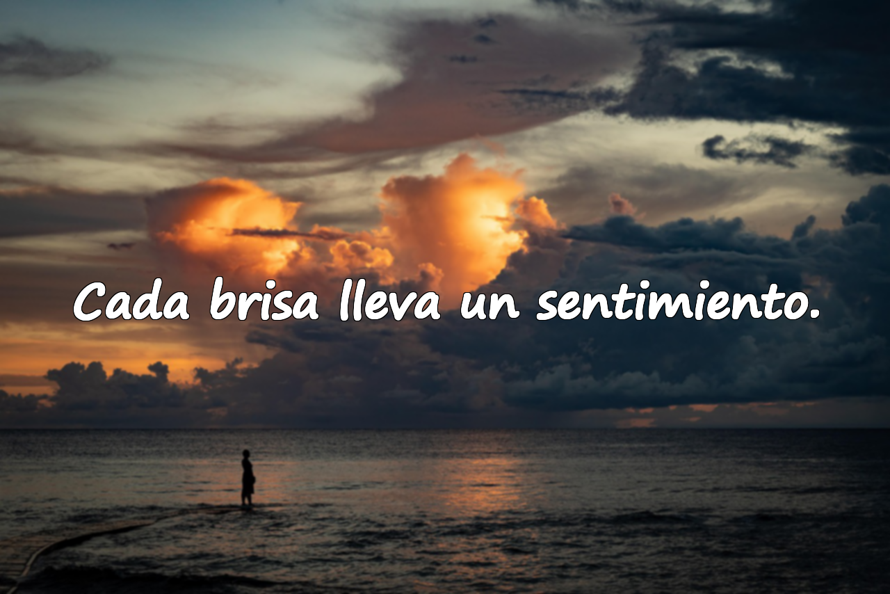 Cada brisa lleva un sentimiento.