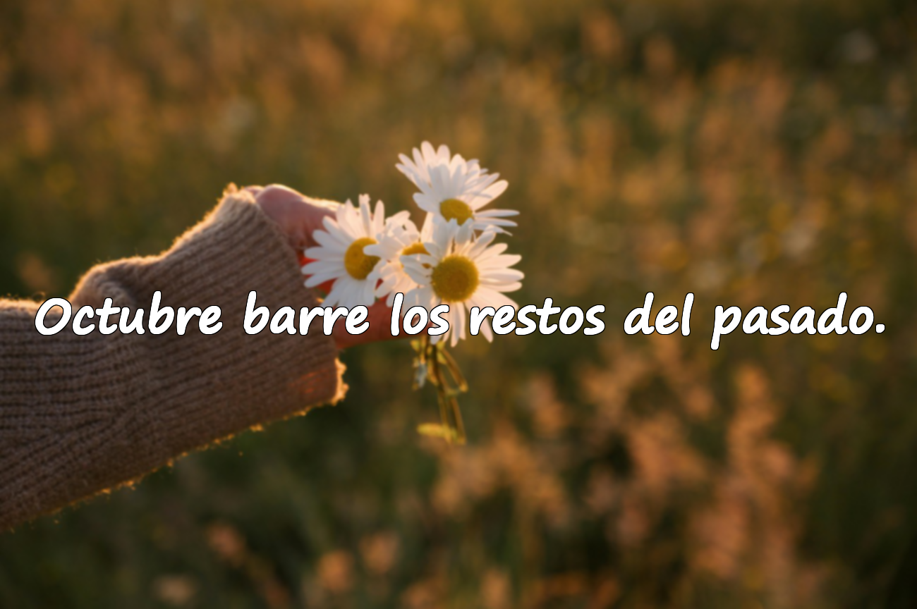 Frases Significativas sobre el Mes de Octubre