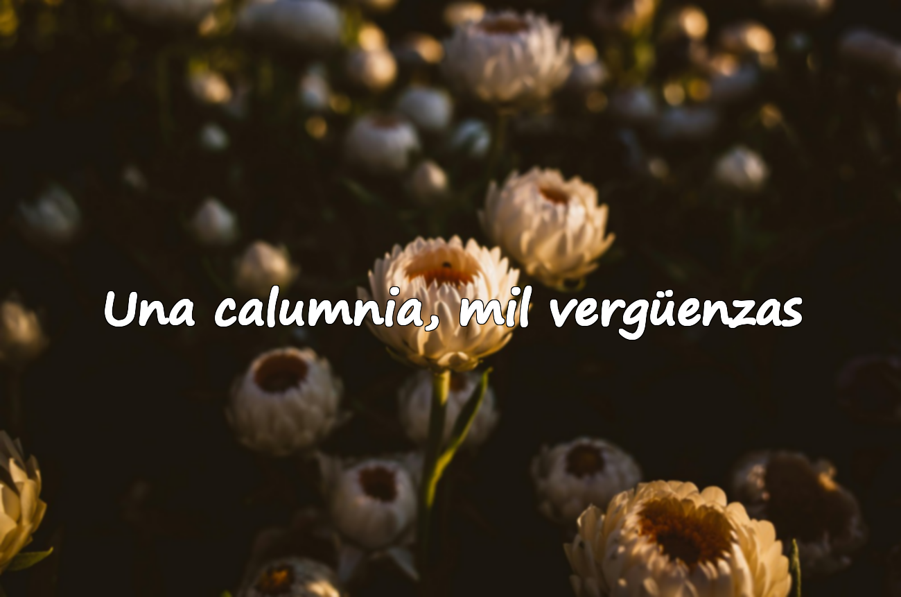 Una calumnia, mil vergüenzas