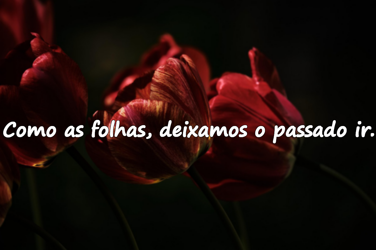 Frases Significativas sobre o Mês de Outubro