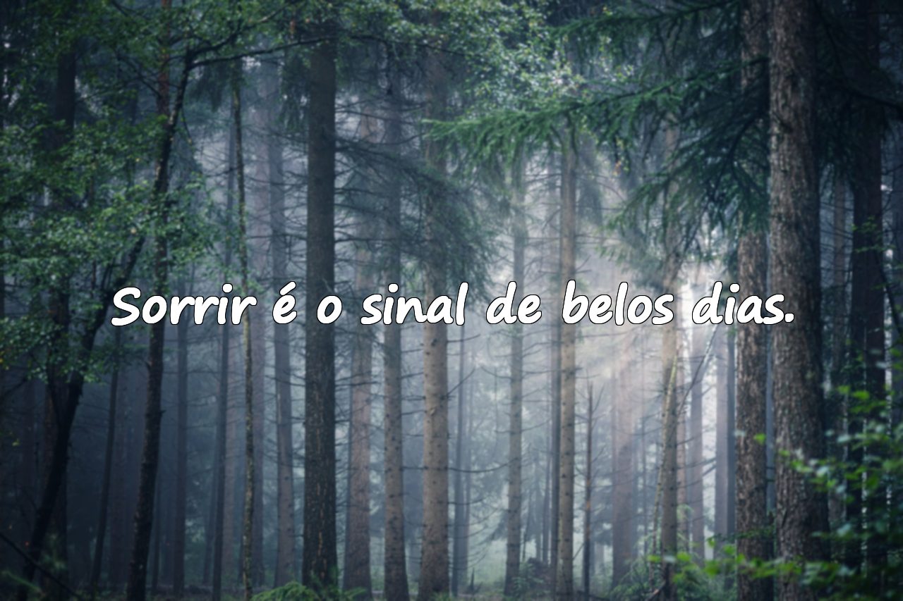 Frases Sobre Belos Dias