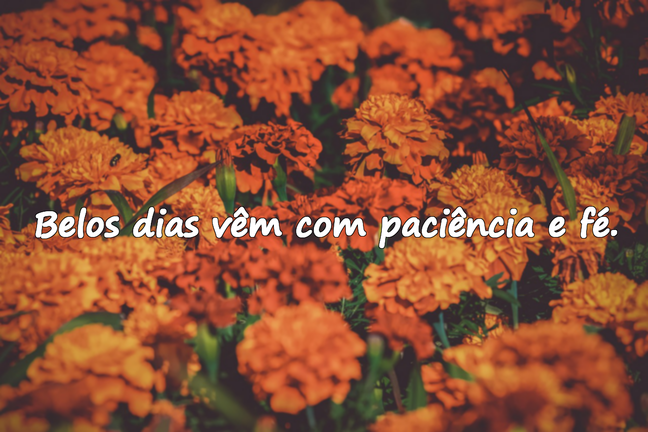 Frases Sobre Belos Dias
