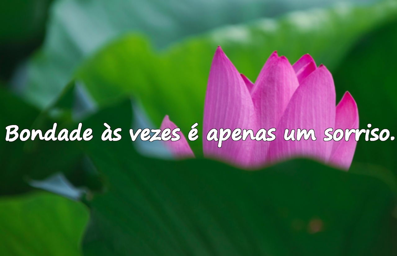 Frases Sobre Bondade