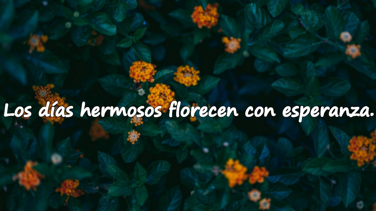Los días hermosos florecen con esperanza.