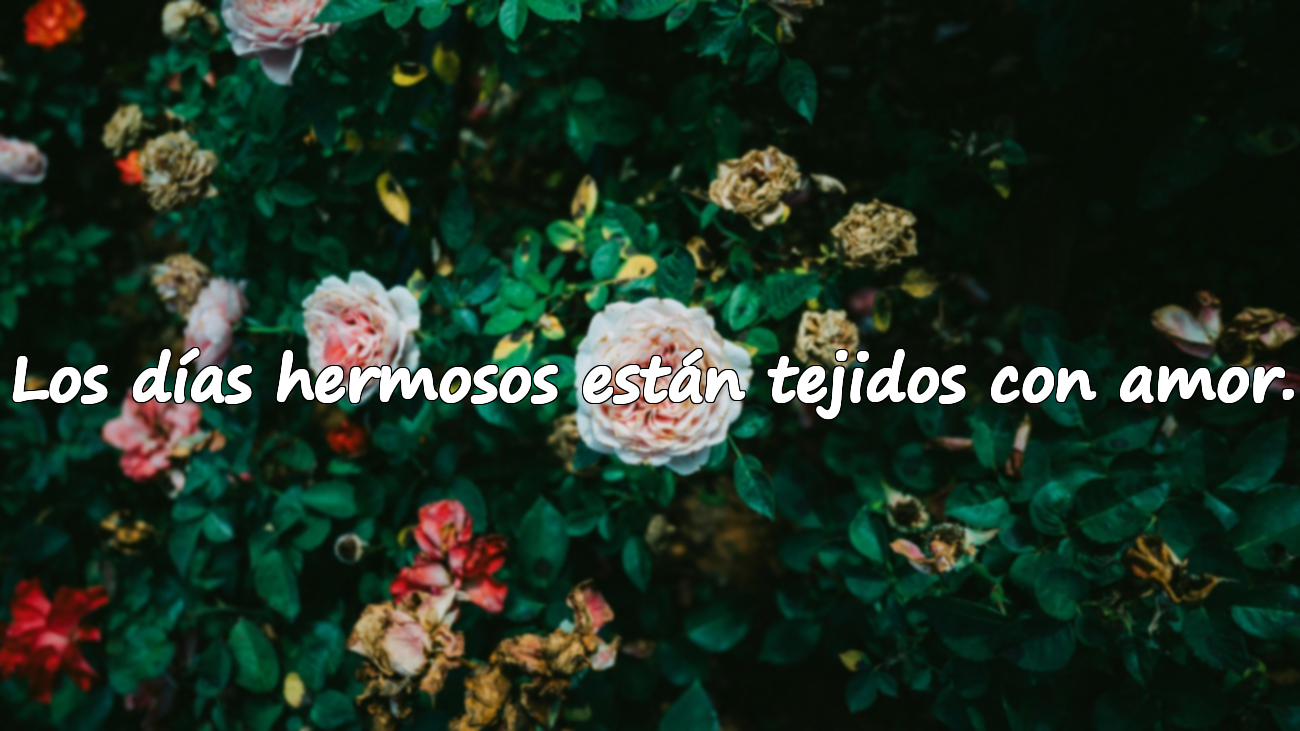 Los días hermosos están tejidos con amor.