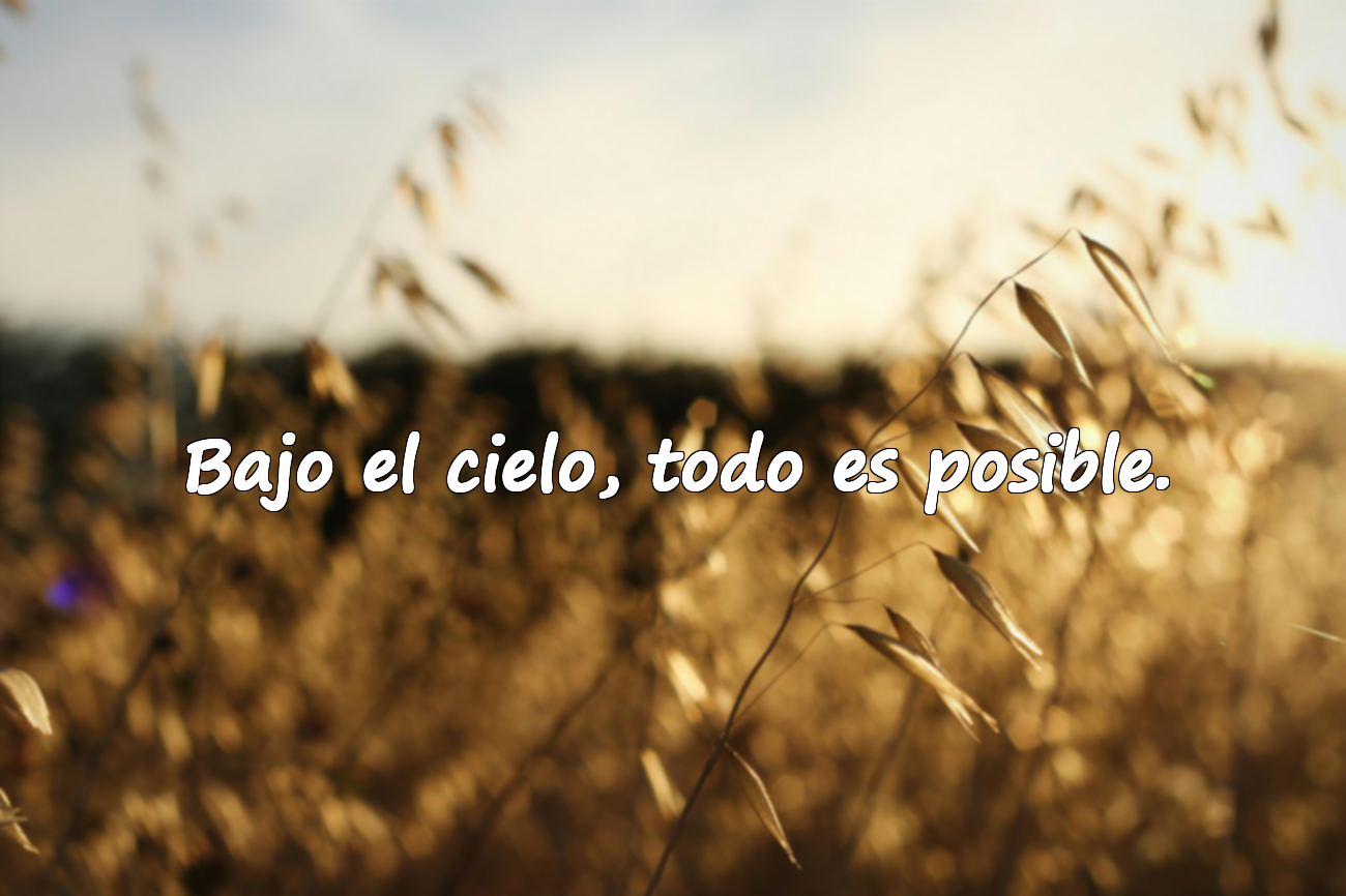 Bajo el cielo, todo es posible.