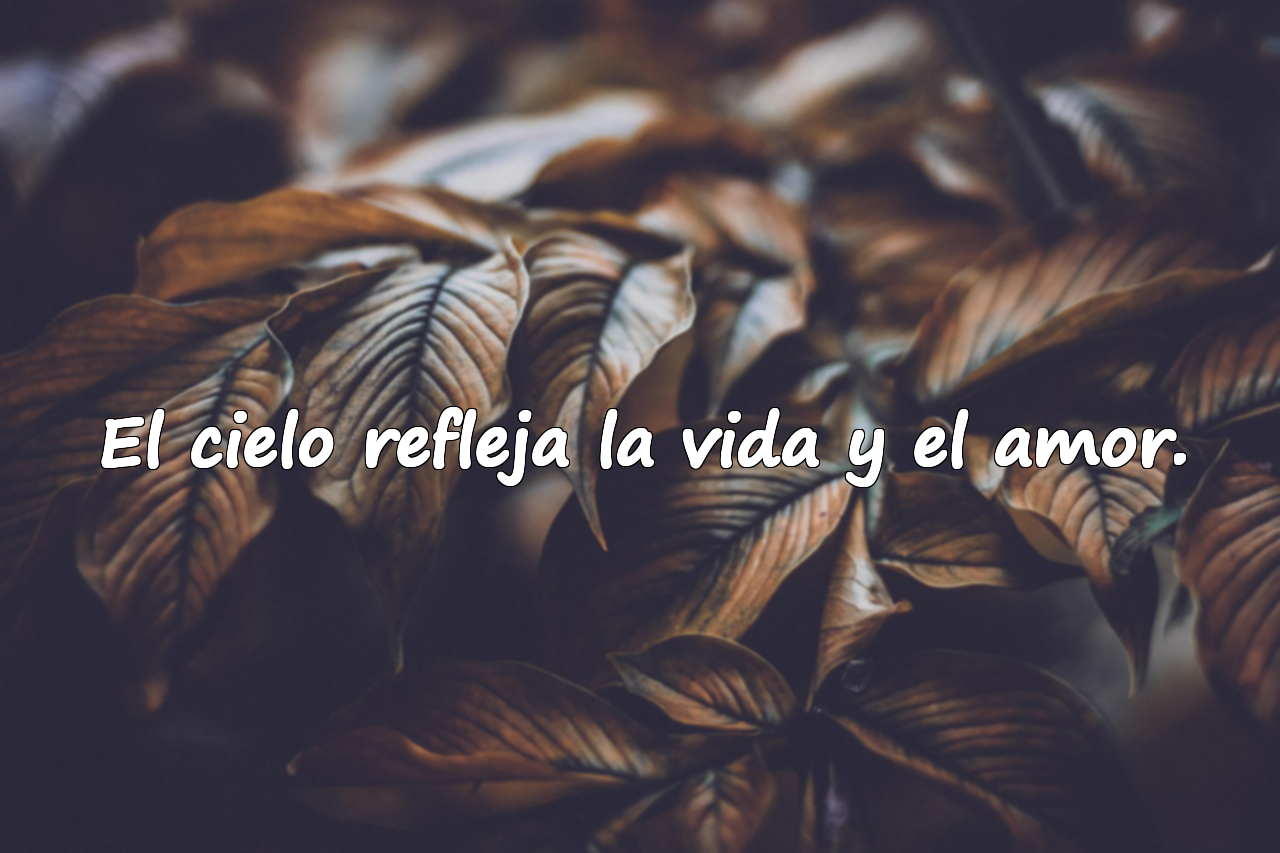 El cielo refleja la vida y el amor.
