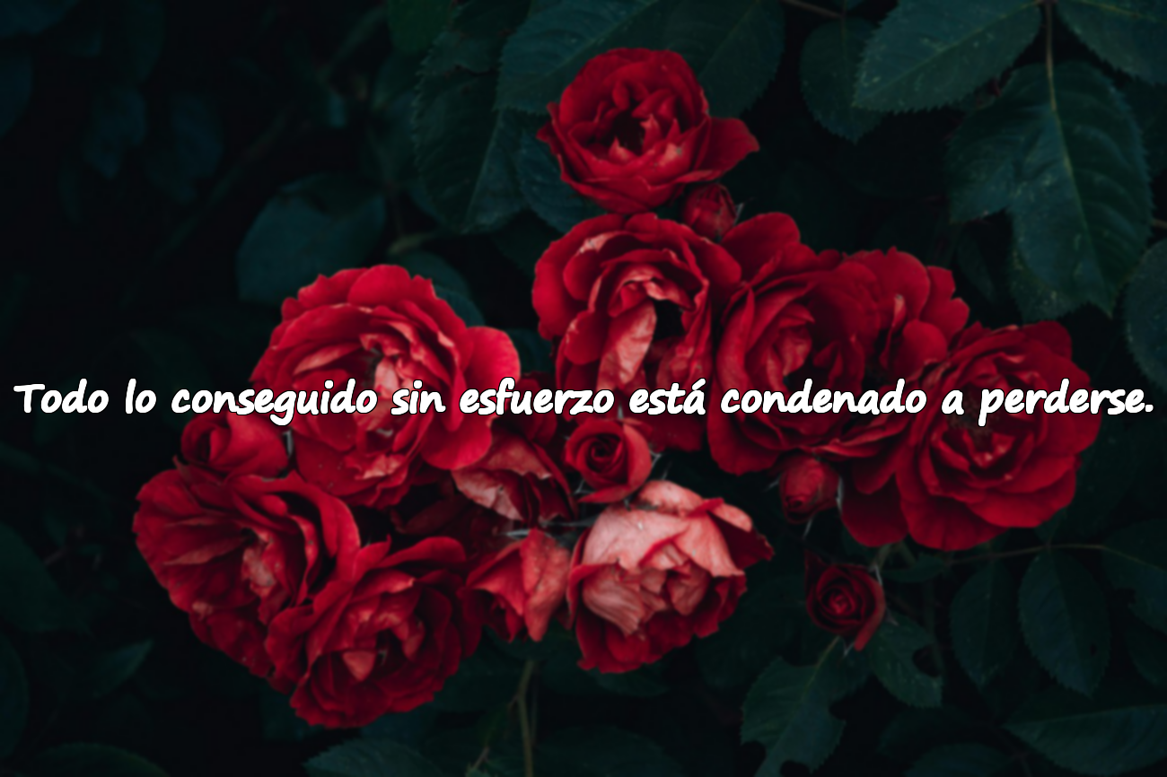 Todo lo conseguido sin esfuerzo está condenado a perderse.