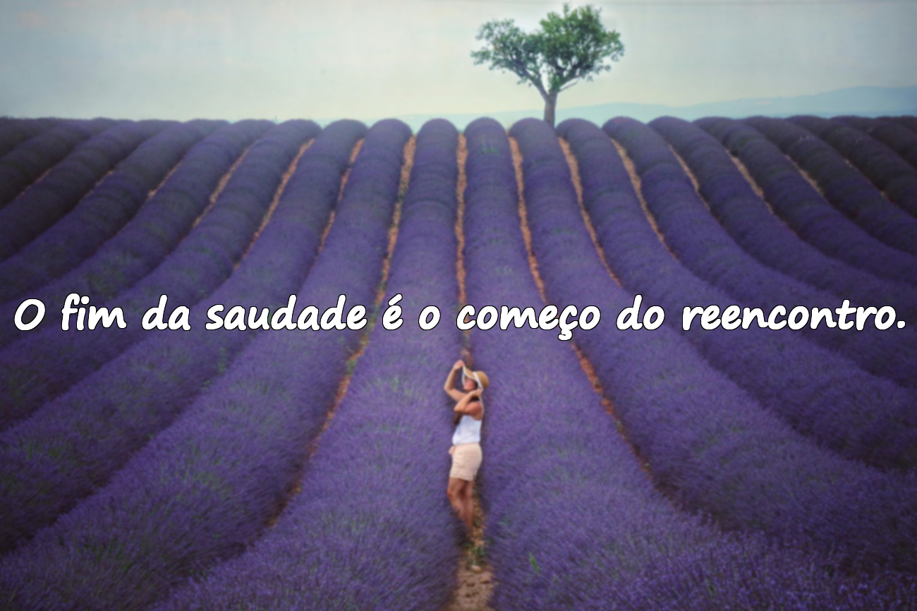Frases Sobre Reencontro