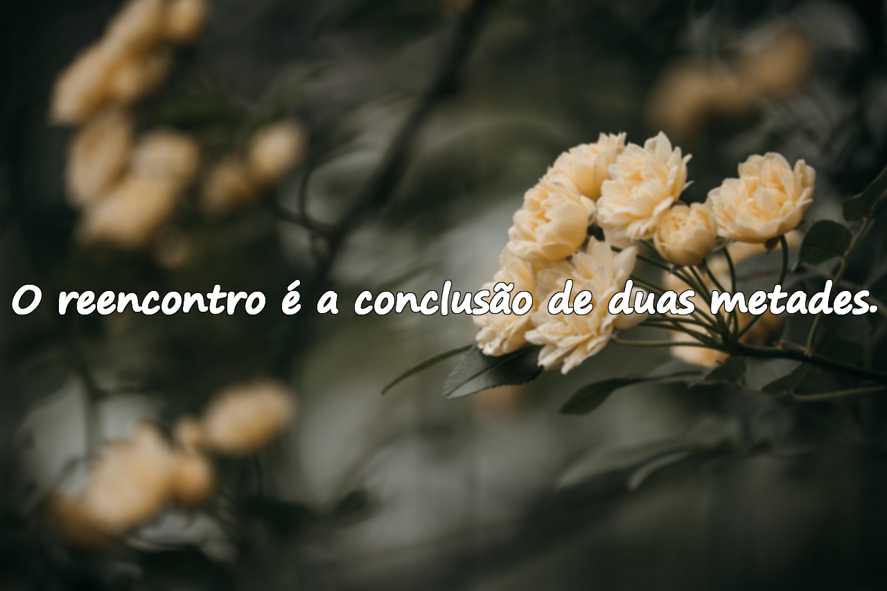 Frases Sobre Reencontro