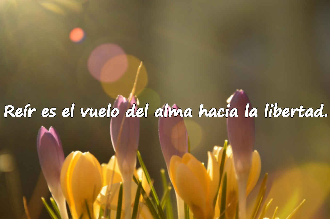 Reír es el vuelo del alma hacia la libertad.