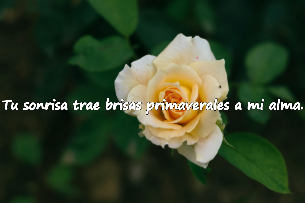 Tu sonrisa trae brisas primaverales a mi alma.