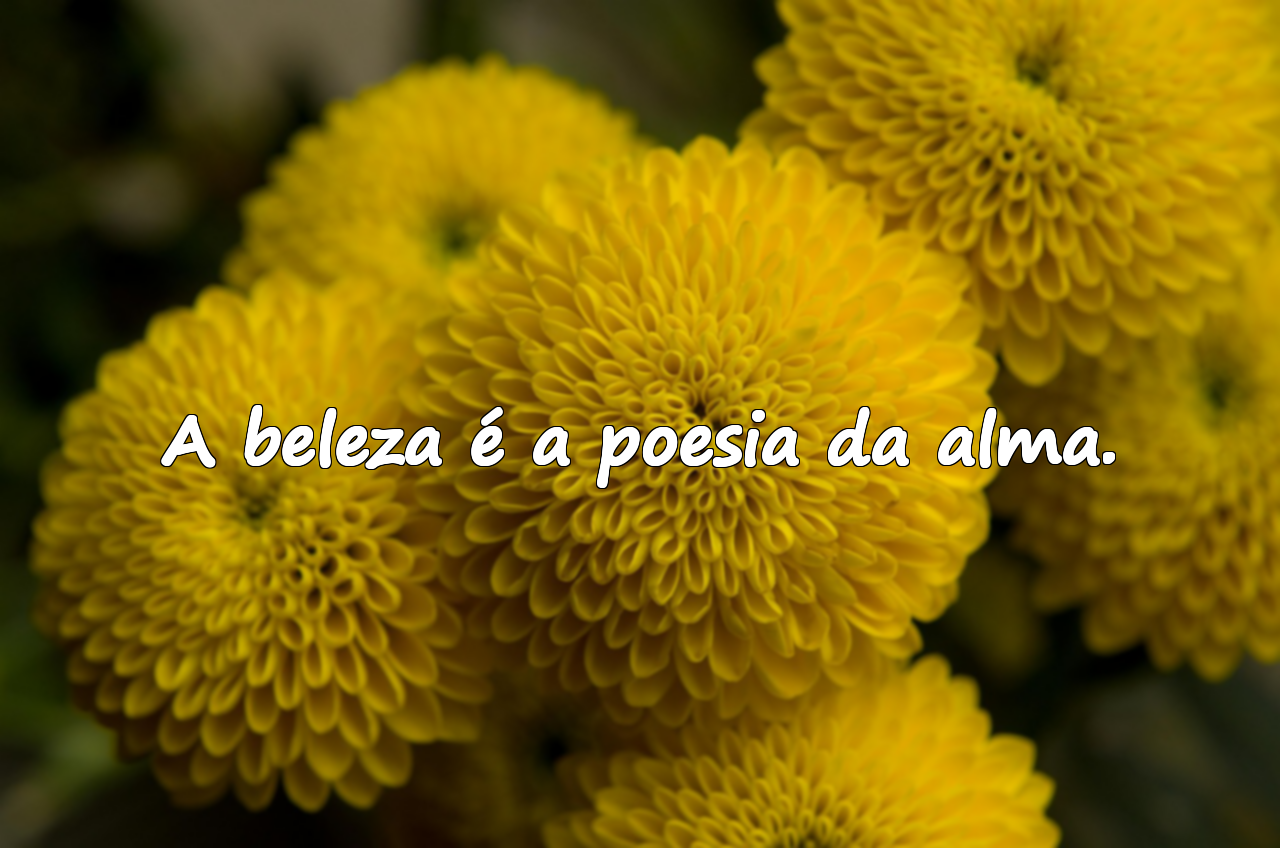 A beleza é a poesia da alma.