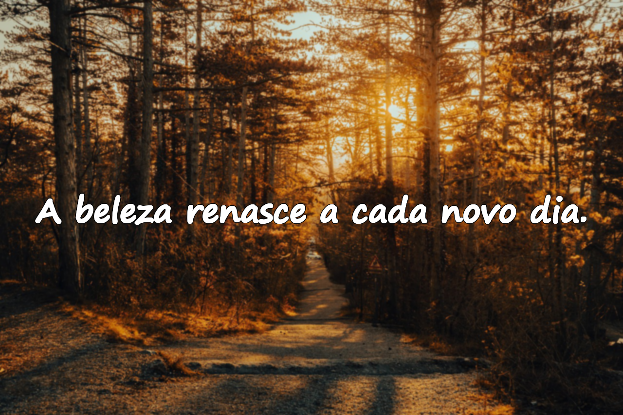 Frases Sobre a Beleza