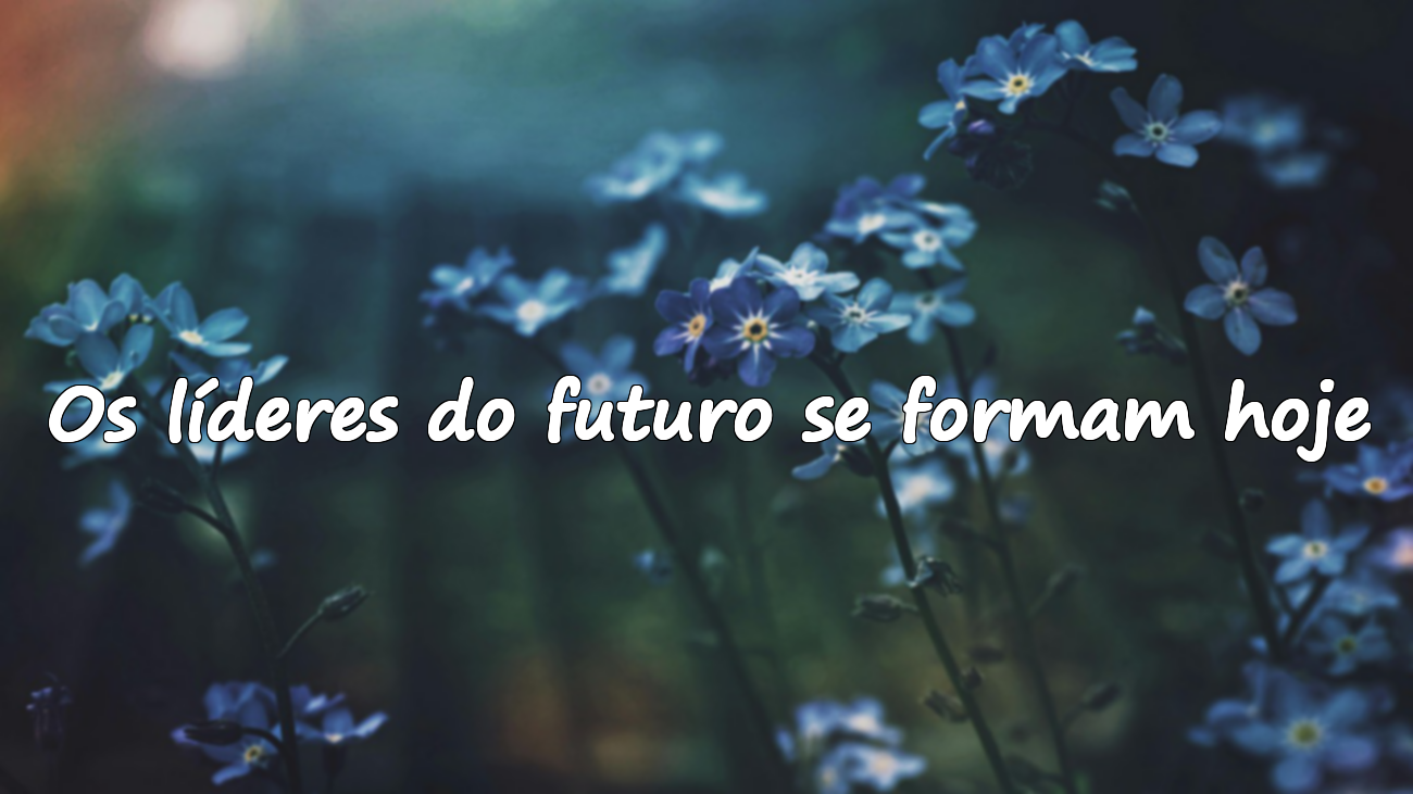 Frases Sobre a Graduação