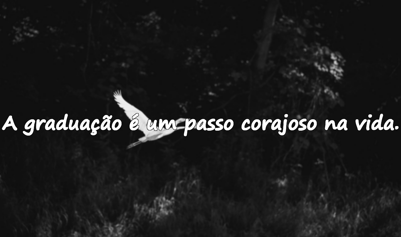 Frases Sobre a Graduação