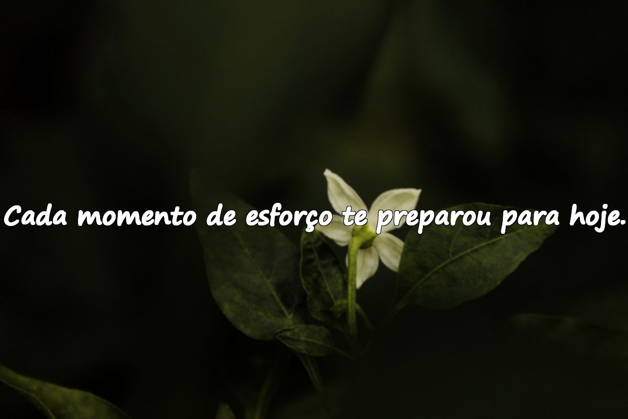 Frases Sobre a Graduação