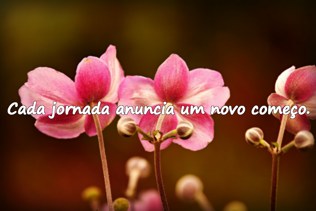 Cada jornada anuncia um novo começo.