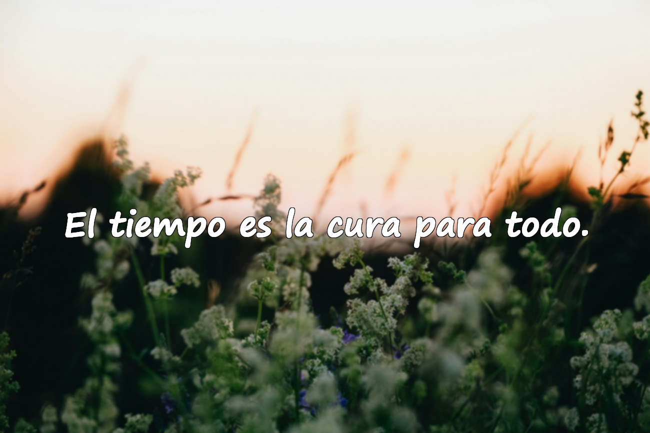El tiempo es la cura para todo.