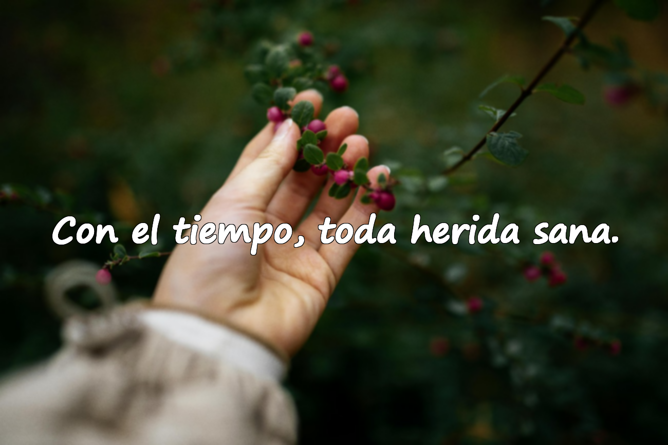 Con el tiempo, toda herida sana.