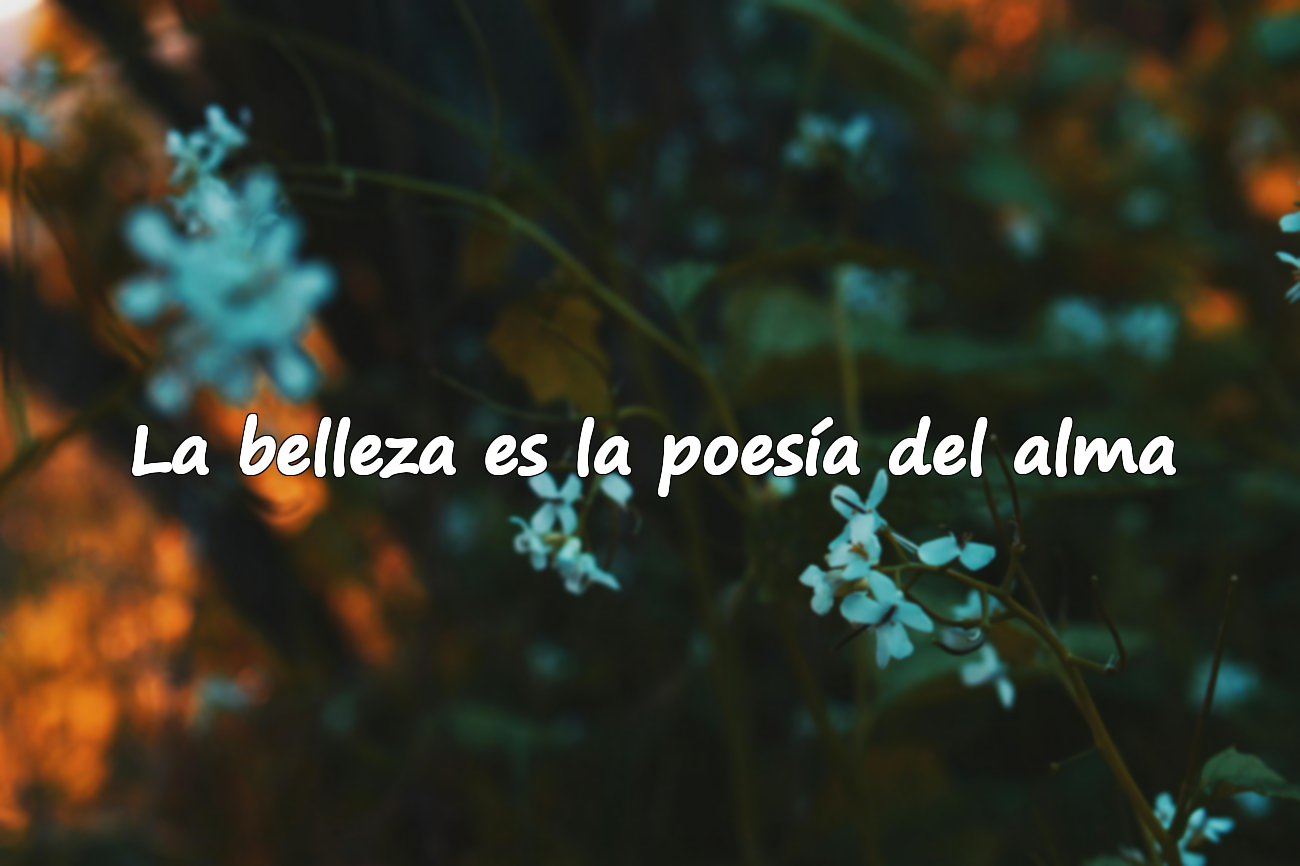 La belleza es la poesía del alma
