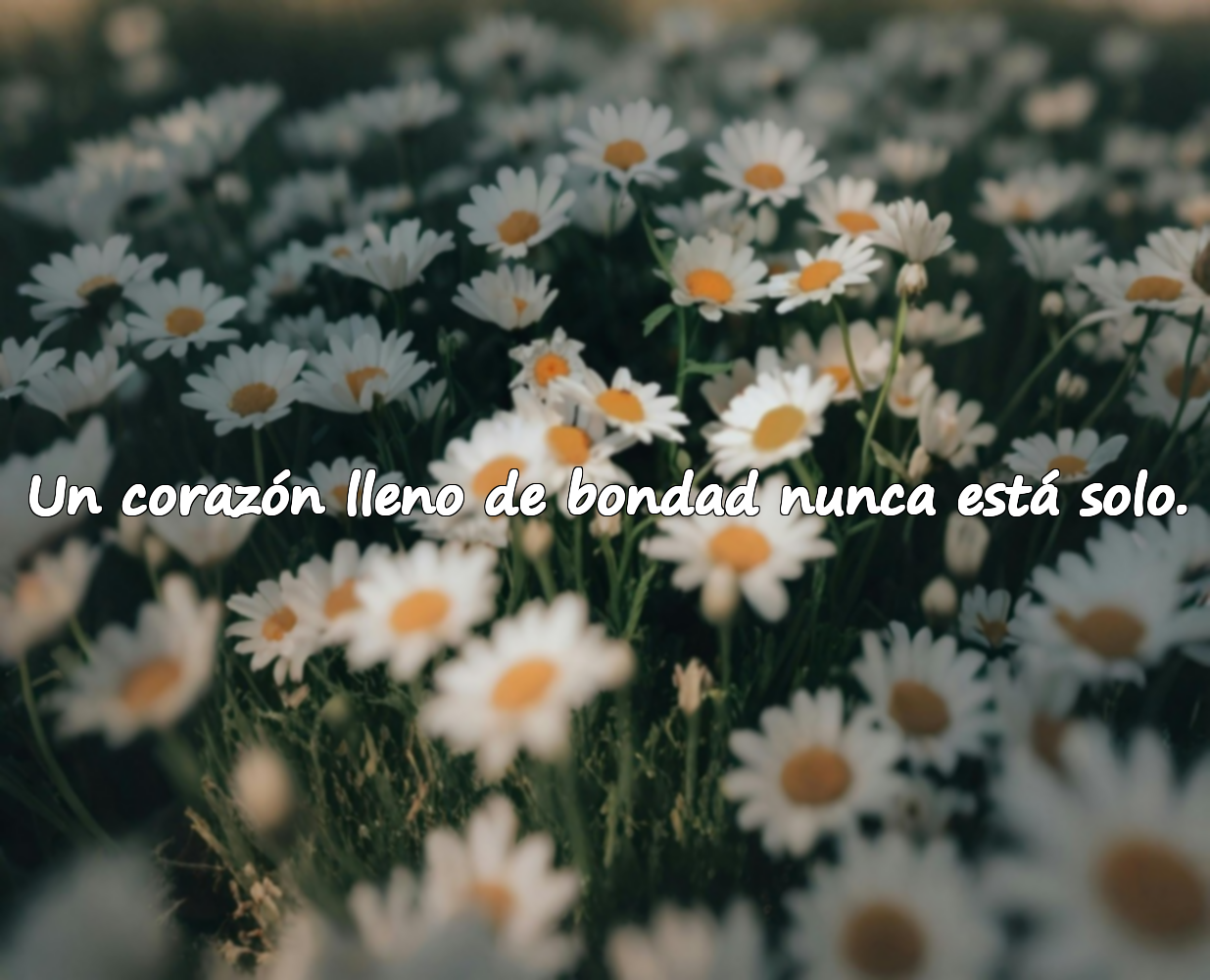 Un corazón lleno de bondad nunca está solo.