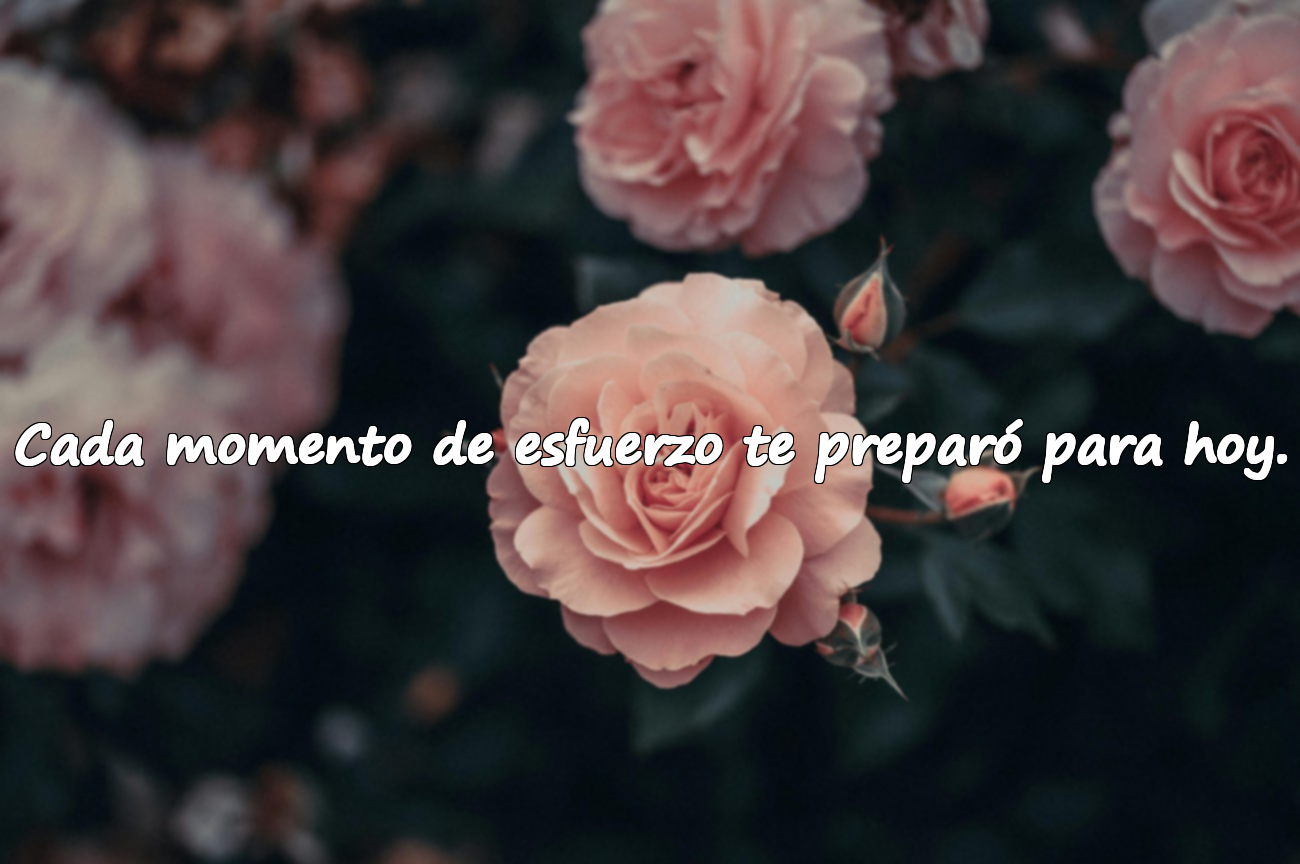 Frases Sobre la Graduación