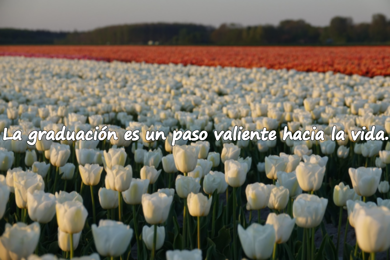 Frases Sobre la Graduación