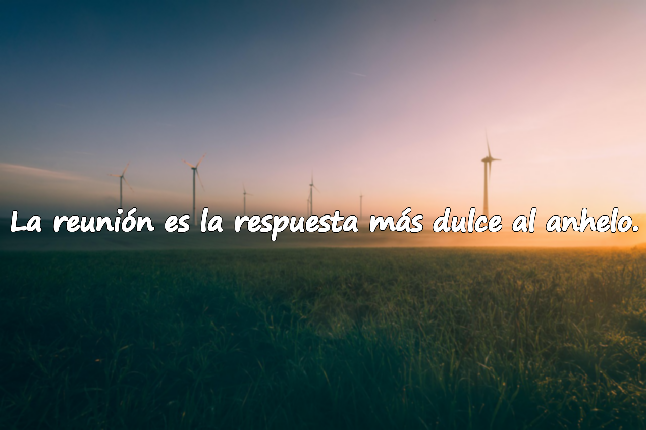 La reunión es la respuesta más dulce al anhelo.