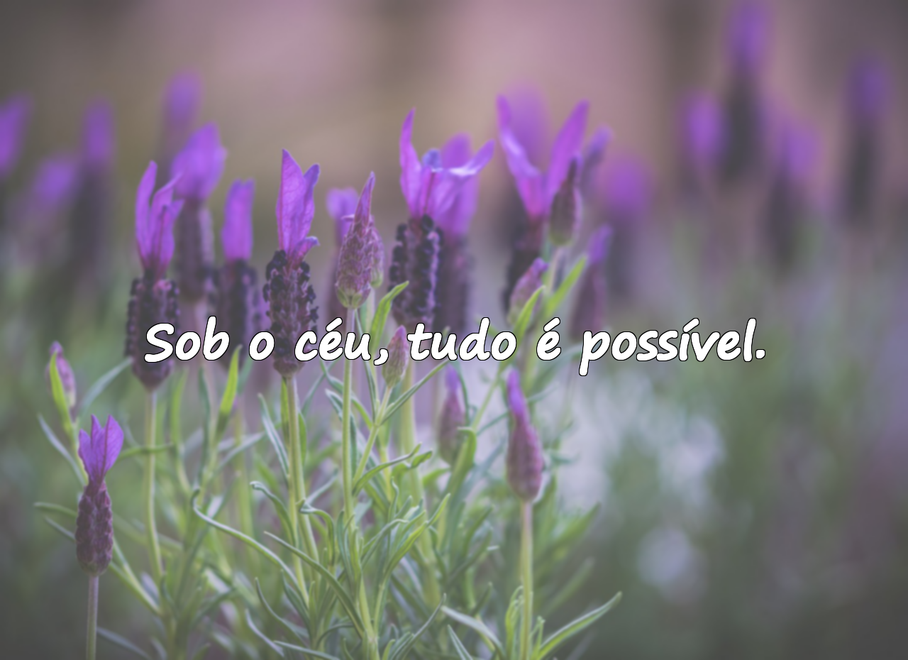 Frases Sobre o Céu