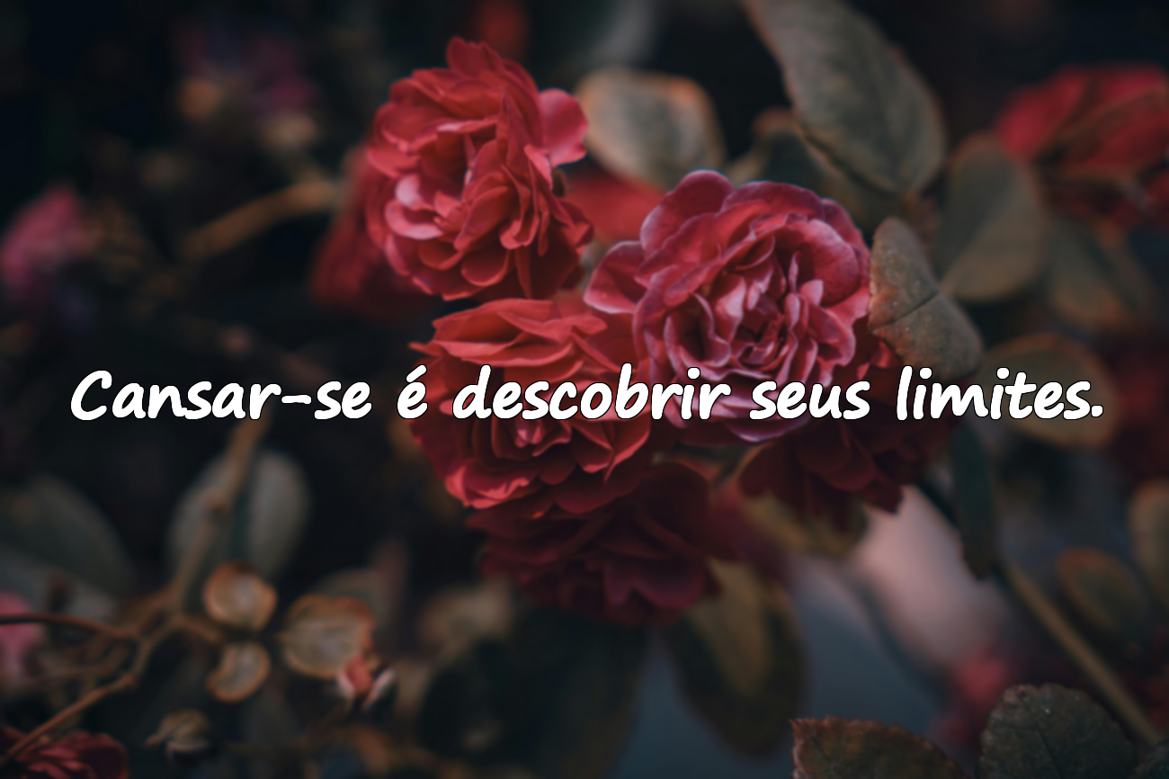 Frases Sobre o Cansaço