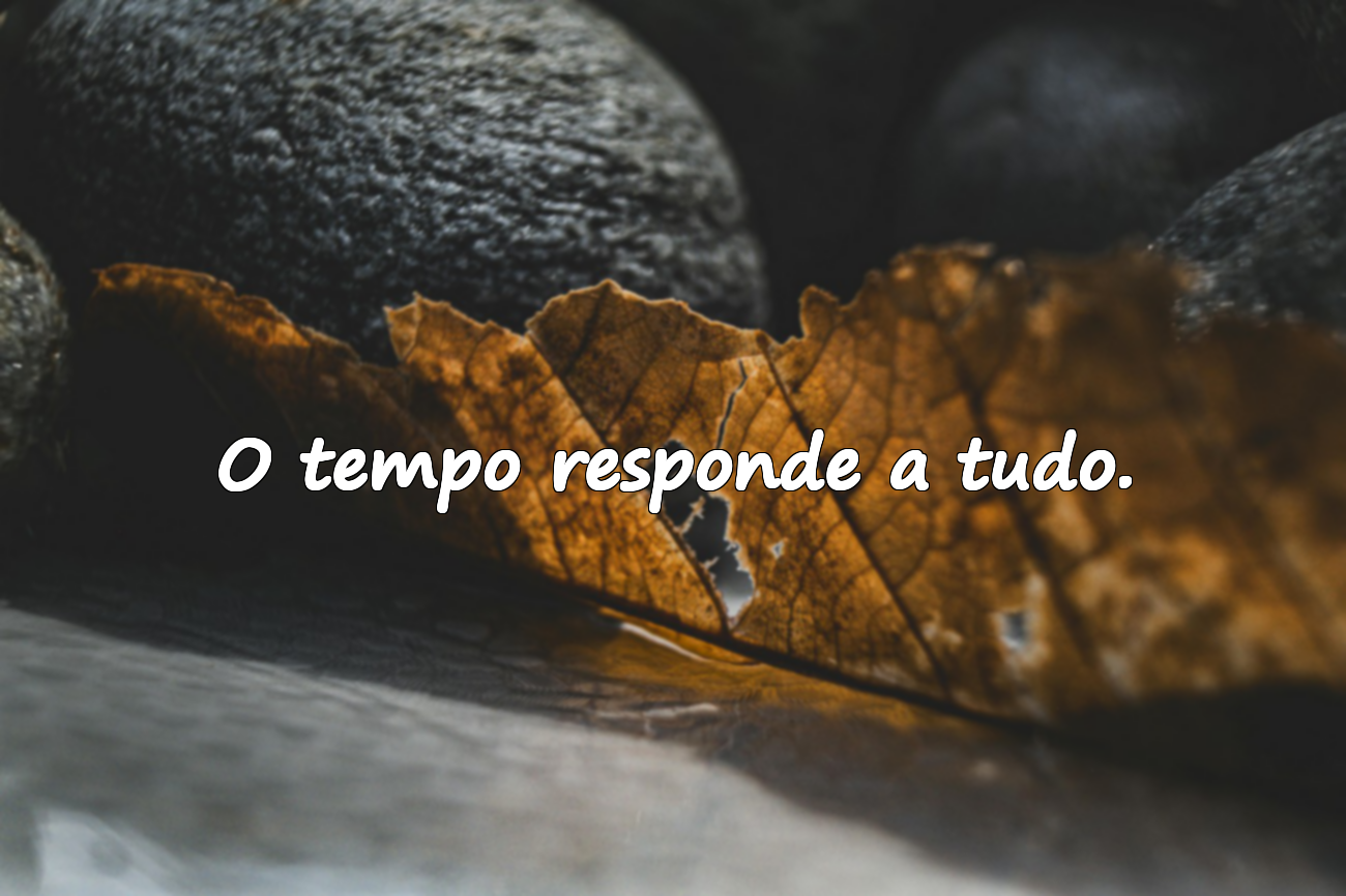 O tempo responde a tudo.