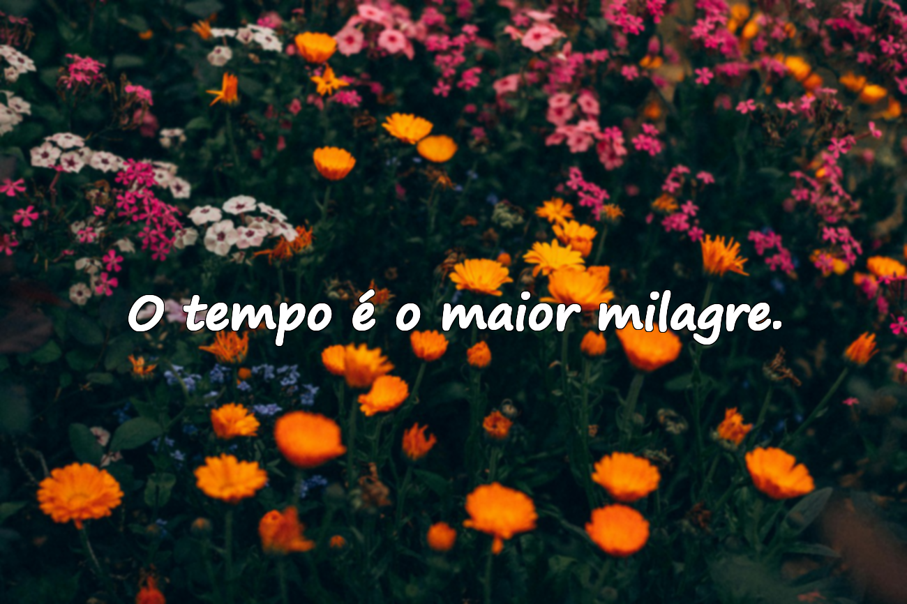 Frases Sobre o Tempo