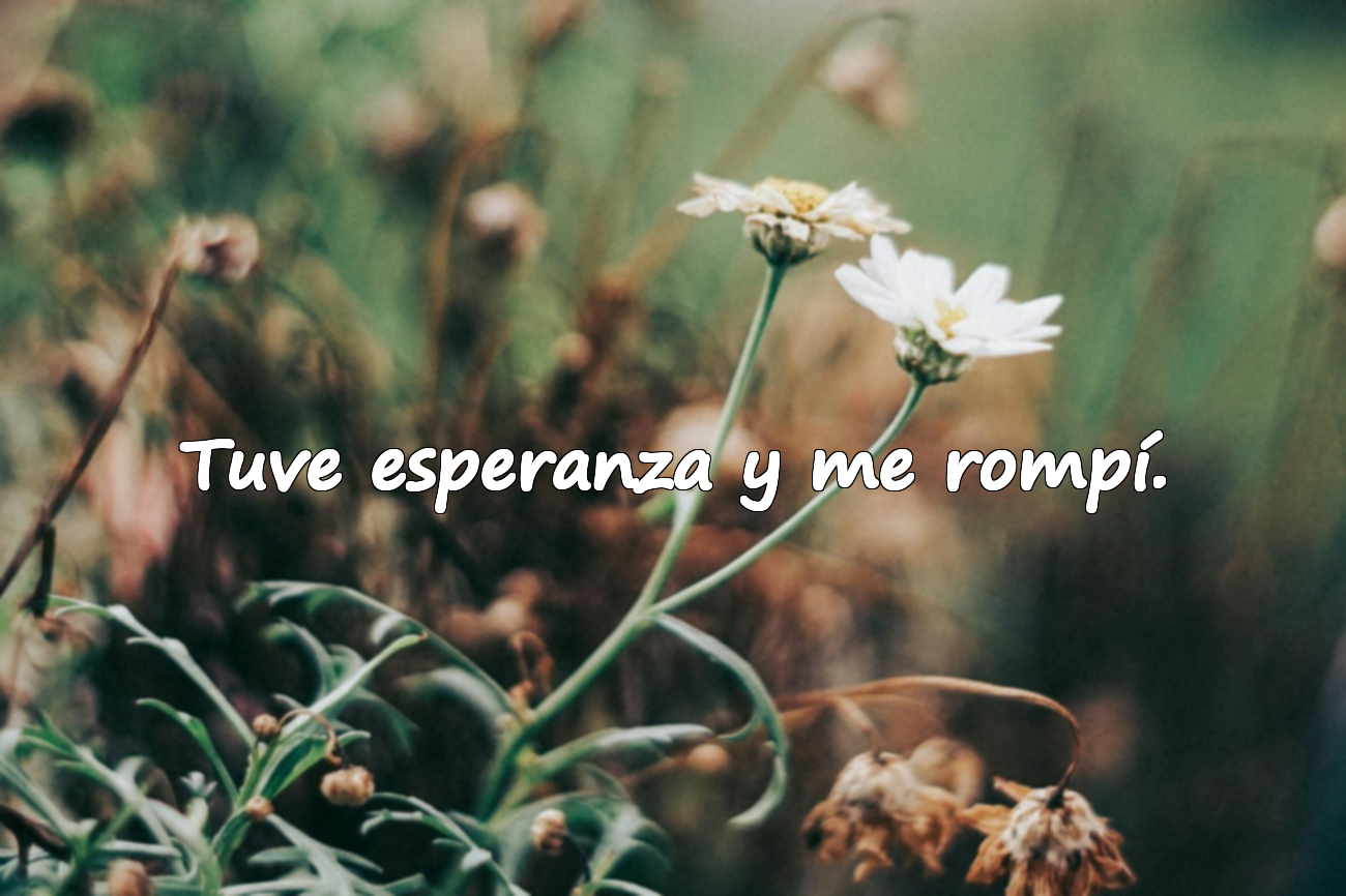 Tuve esperanza y me rompí.