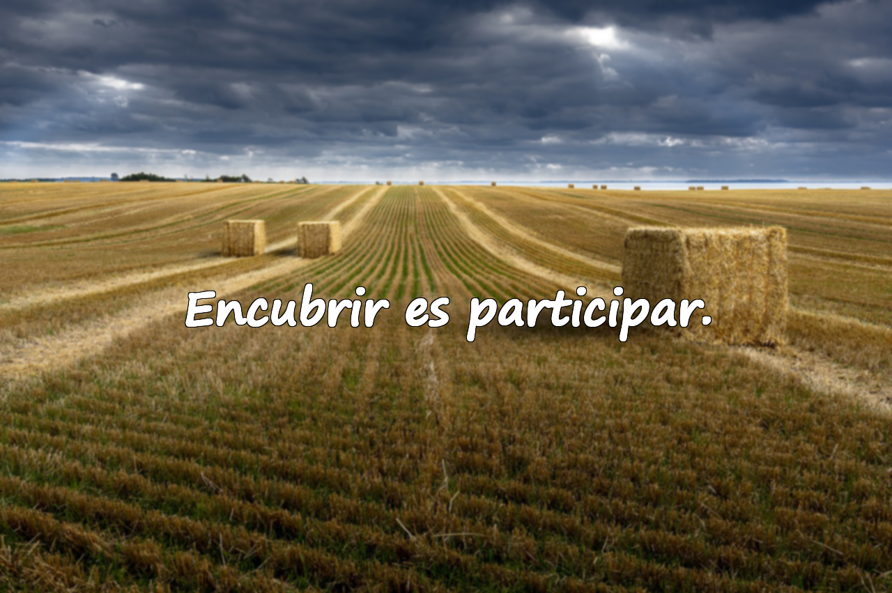 Encubrir es participar.