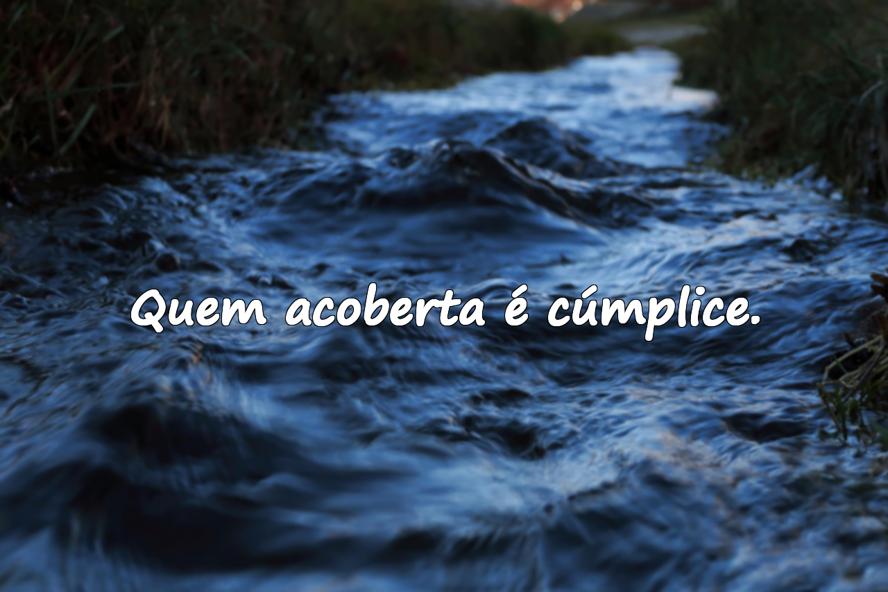 Frases contra o abuso sexual