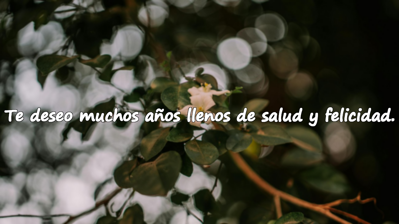 Frases de Año Nuevo