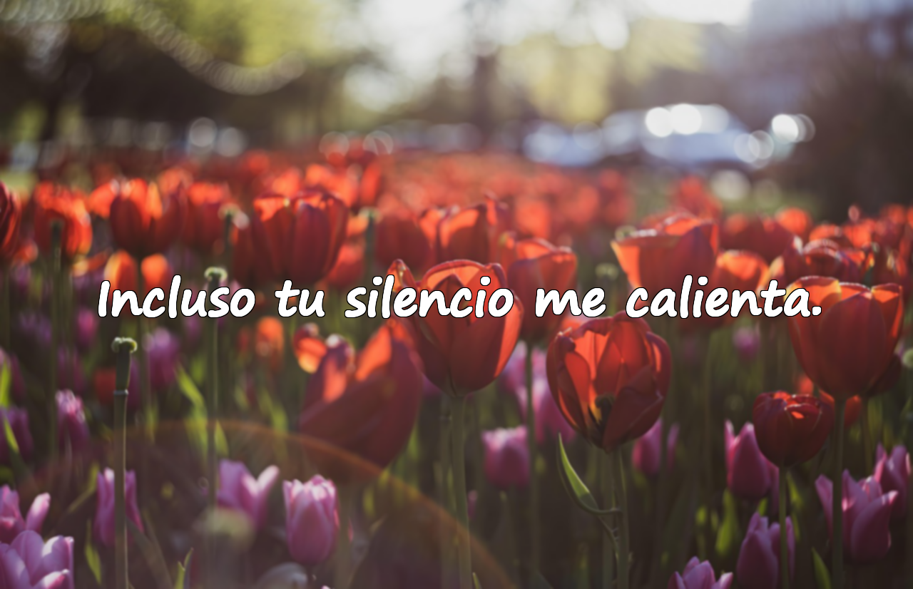 Incluso tu silencio me calienta.