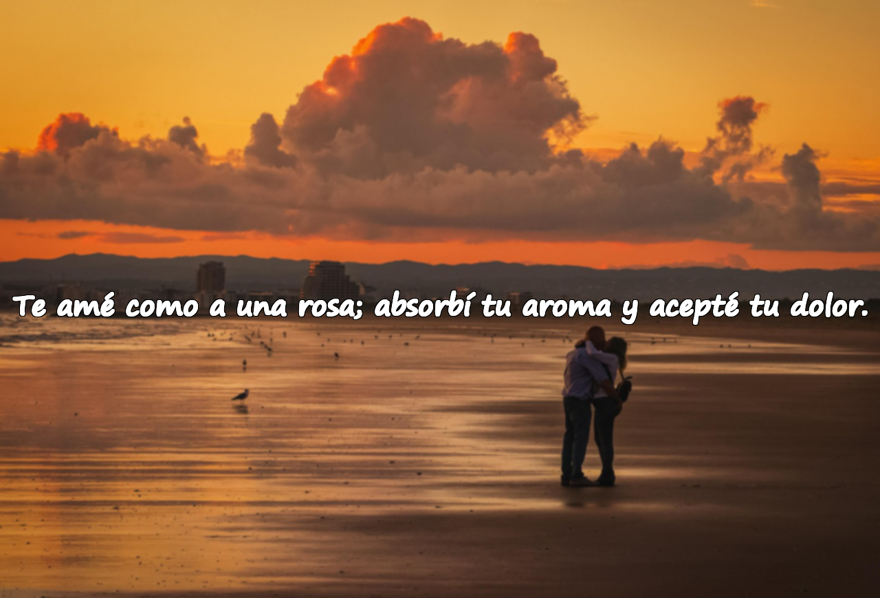 Te amé como a una rosa; absorbí tu aroma y acepté tu dolor.