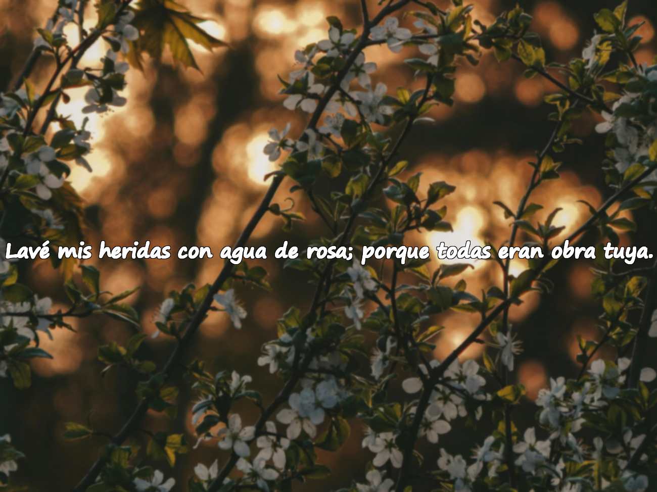 Lavé mis heridas con agua de rosa; porque todas eran obra tuya.