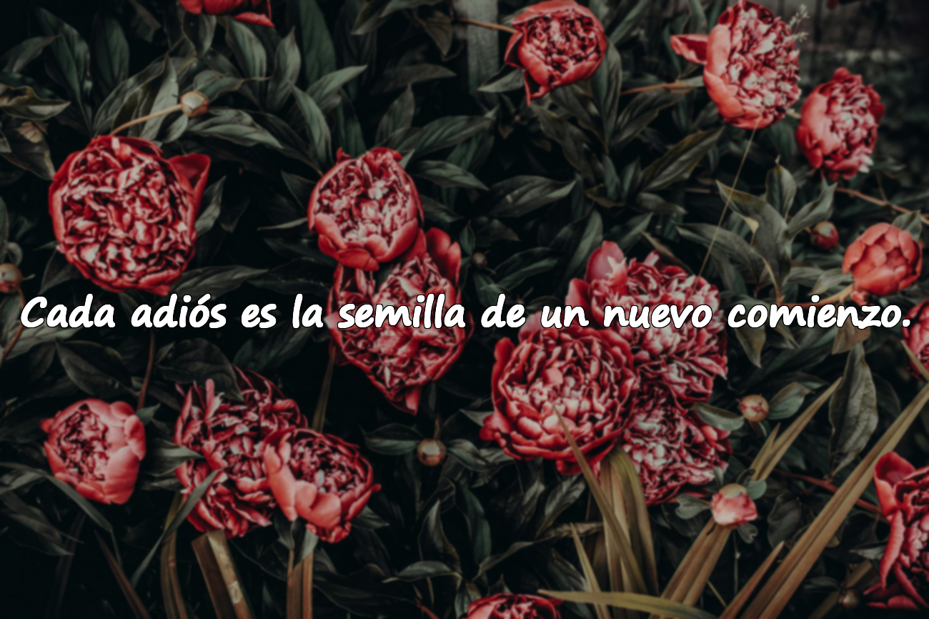 Cada adiós es la semilla de un nuevo comienzo.