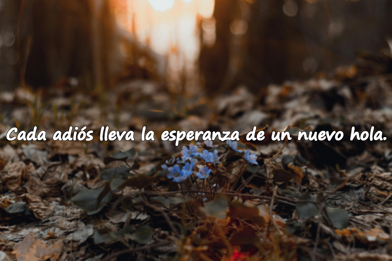 Cada adiós lleva la esperanza de un nuevo hola.